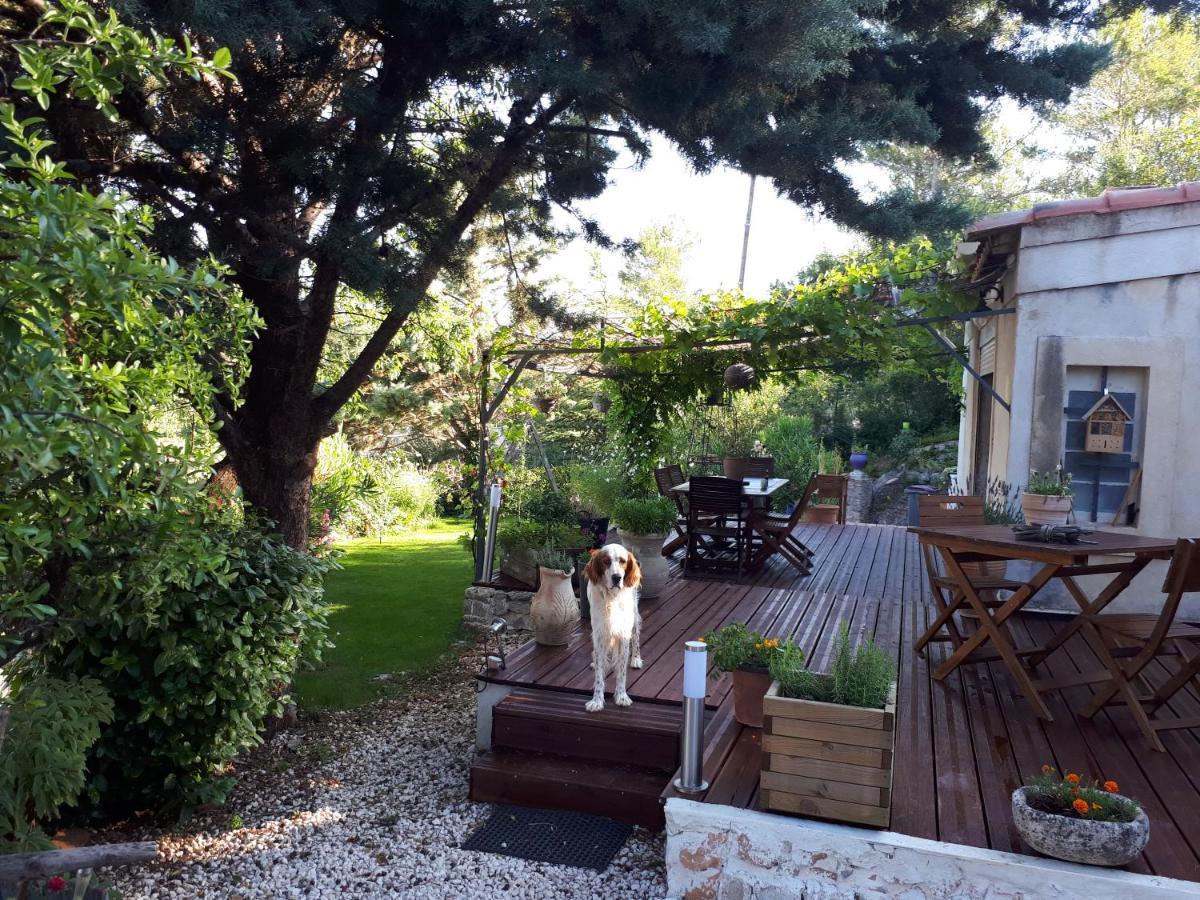 Flassans-sur-Issole Chez Patricia & Denis Bed & Breakfast エクステリア 写真